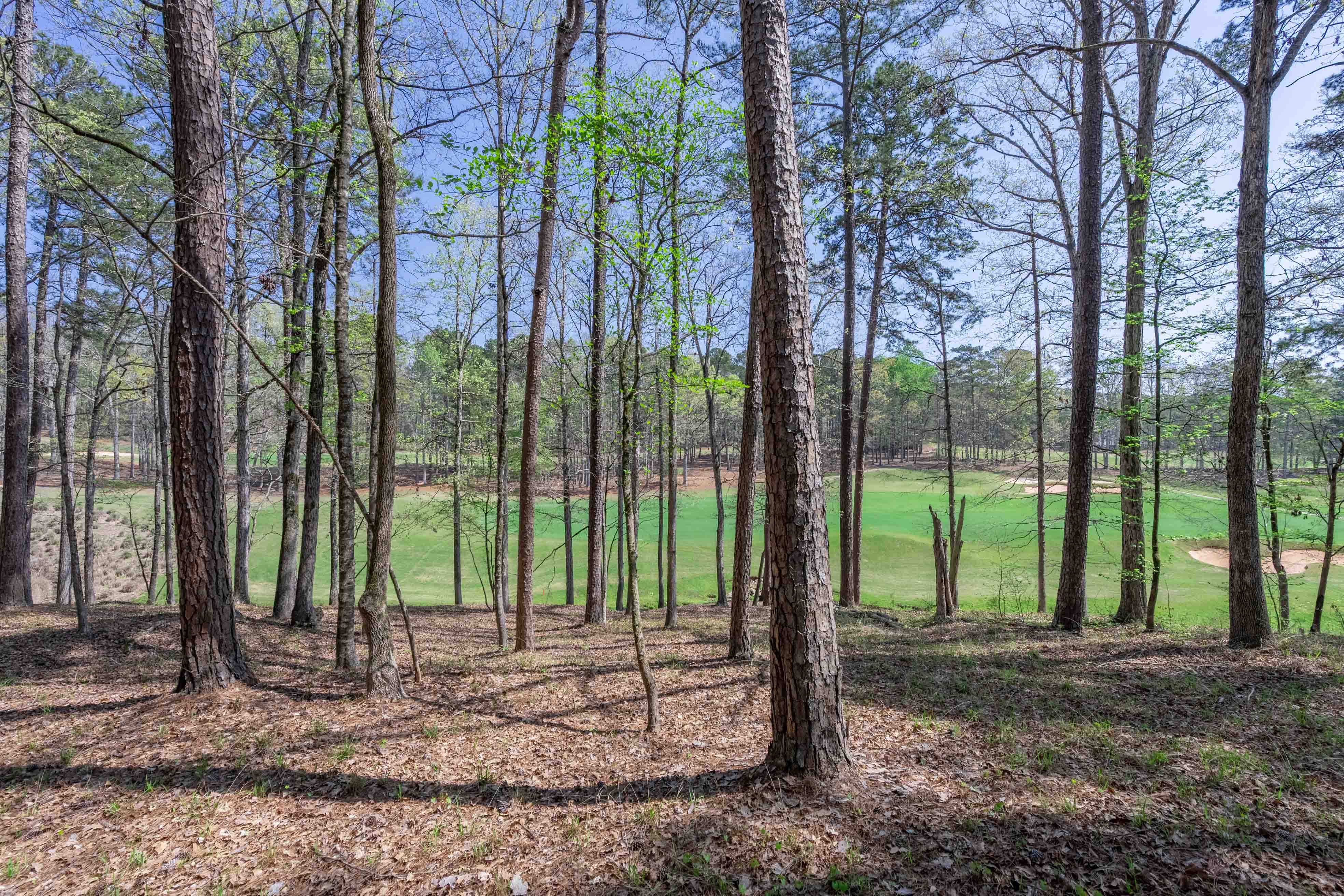 1190 Callahan's Ridge Road image 11